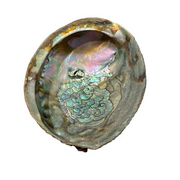 Beautiful Abalone Shell - Trinket Tray {30% off bundled} - Picture 3 of 9